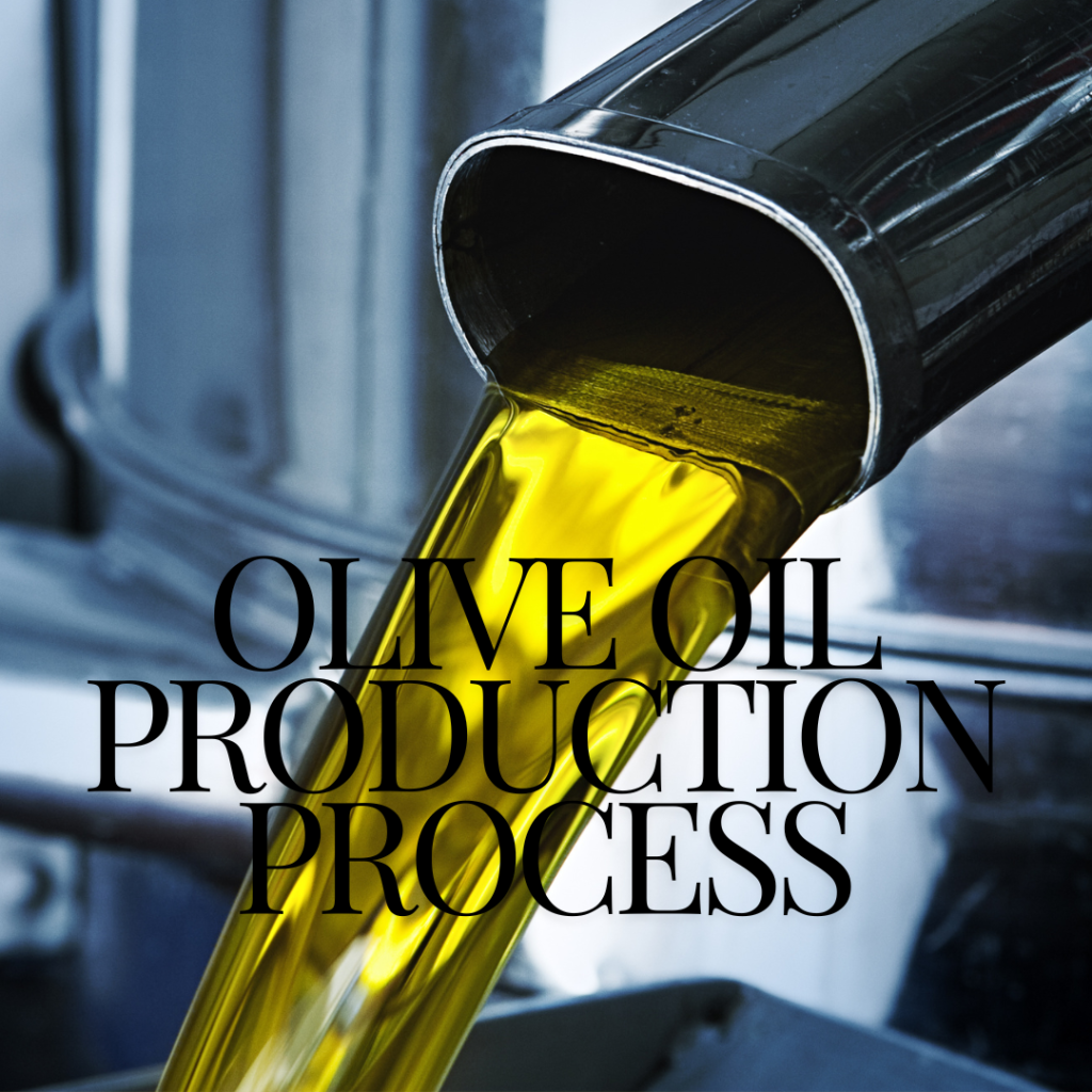 Olive oil production process